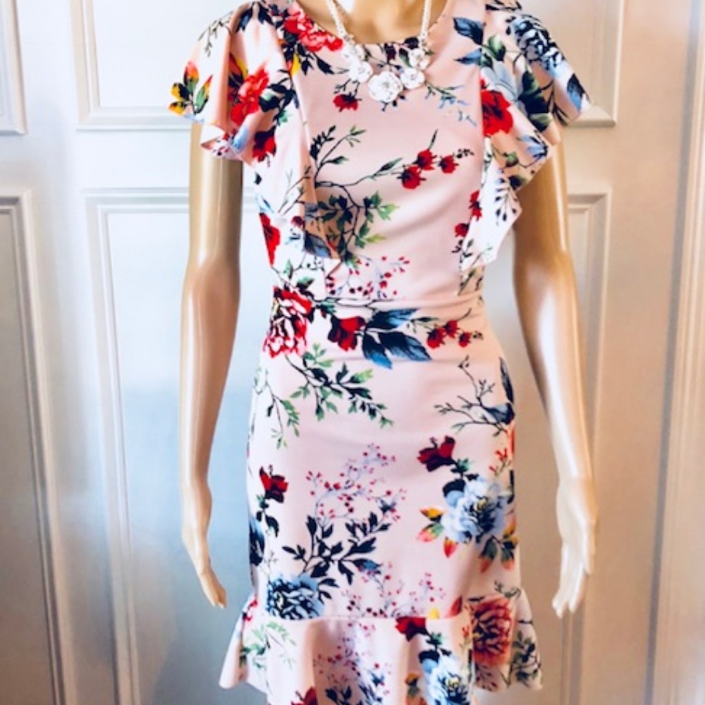 Beautiful Soft Pink Floral Ruffle Dress - NEW! - Picture 2 of 6